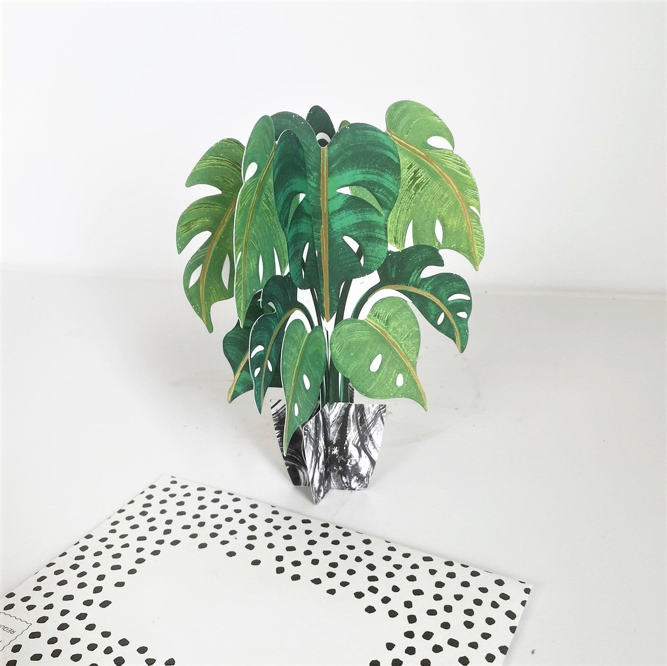 3D Monstera Card