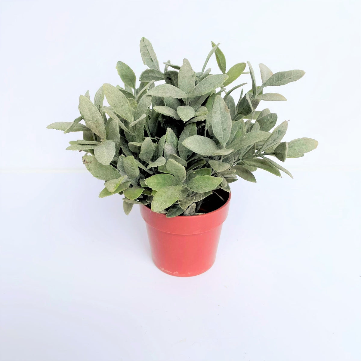 faux sage plant in pot Faux Sage Plant