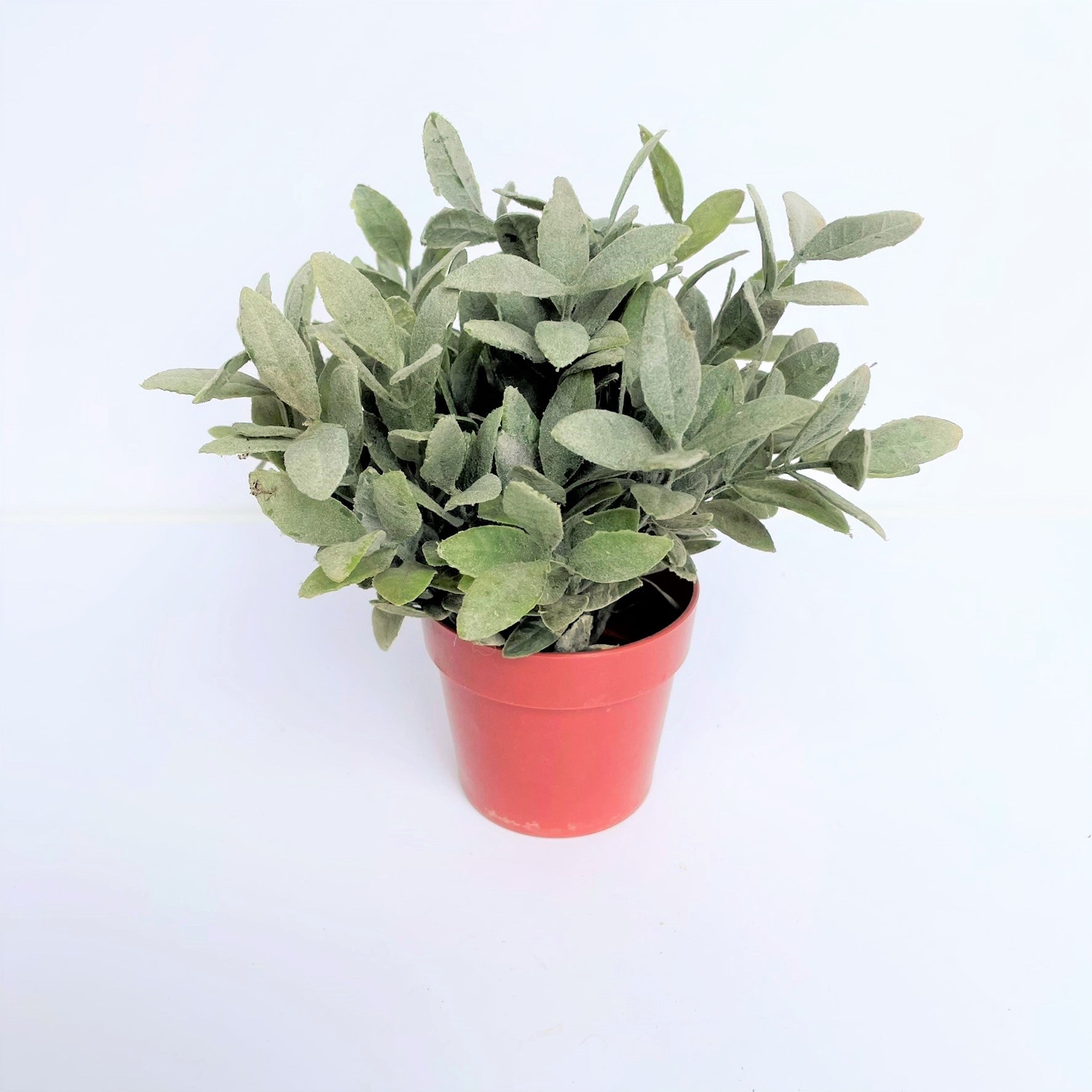 sage plant potted Faux Sage Plant