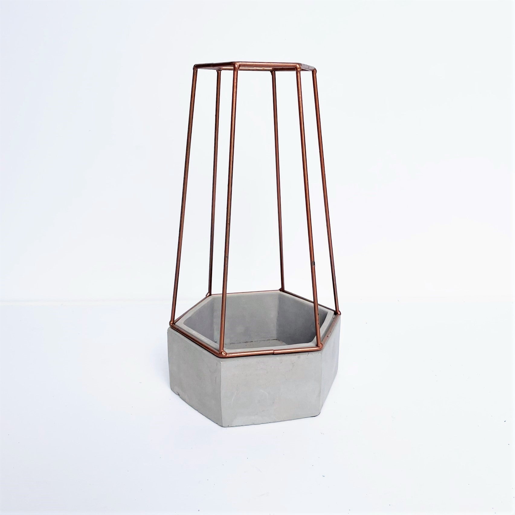 Hexagonal Cement Planter with Metal Cage