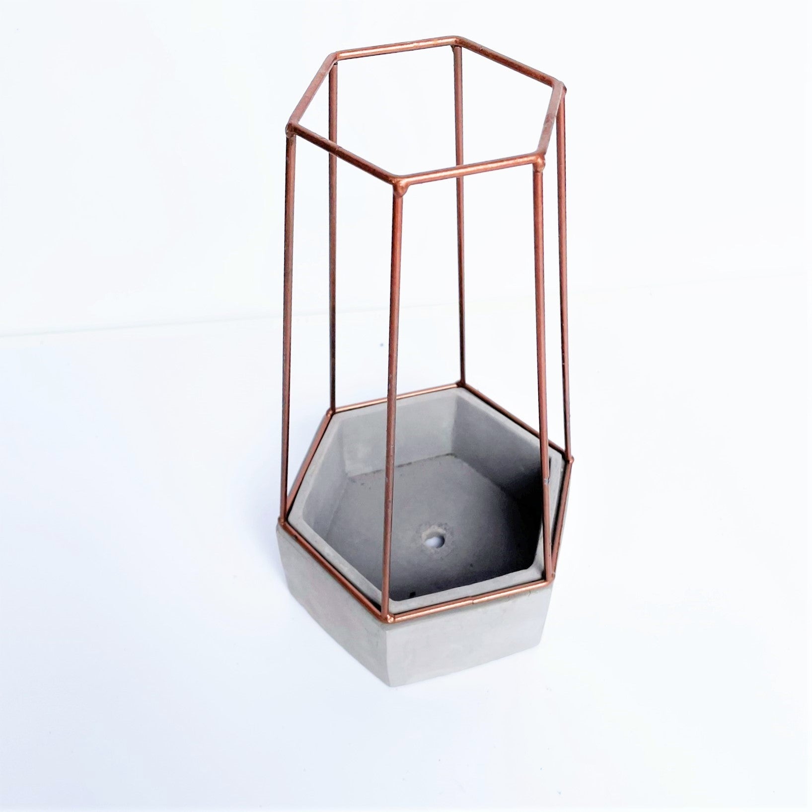 Hexagonal Cement Planter with Metal Cage