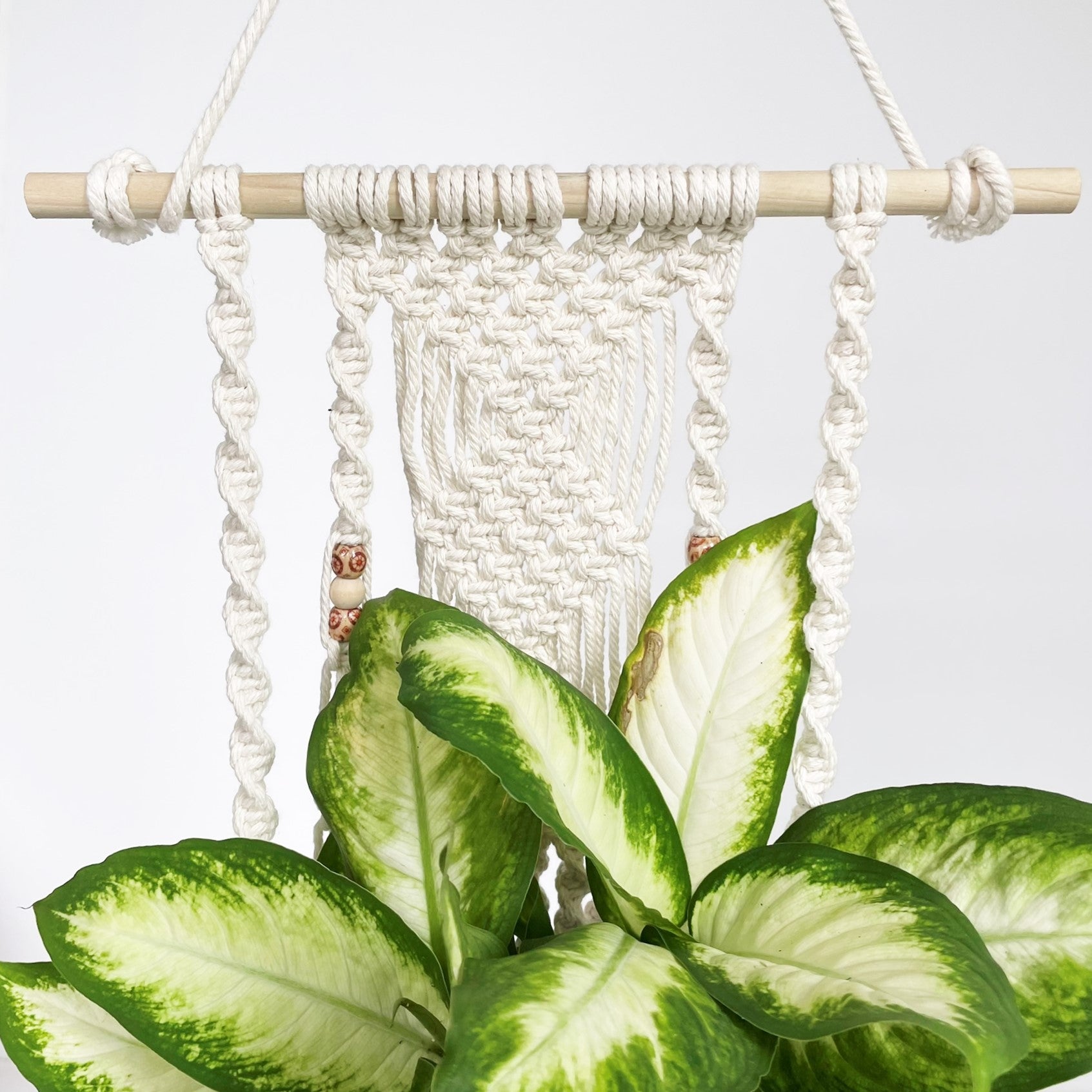 giant macrame plant hanger White Large Dowel Macramé Plant Hanger