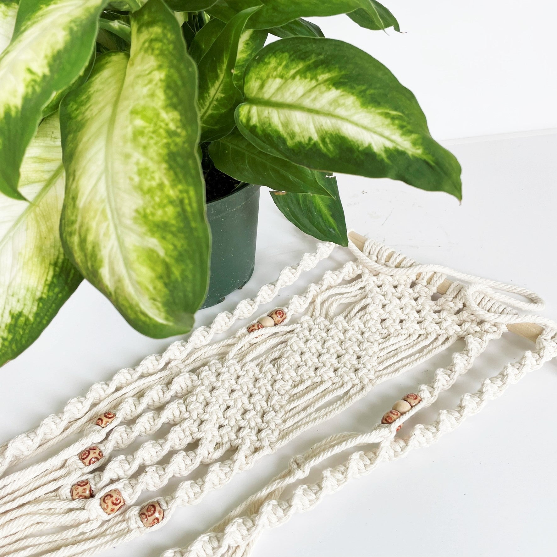dowel rod plant hanger White Large Dowel Macramé Plant Hanger