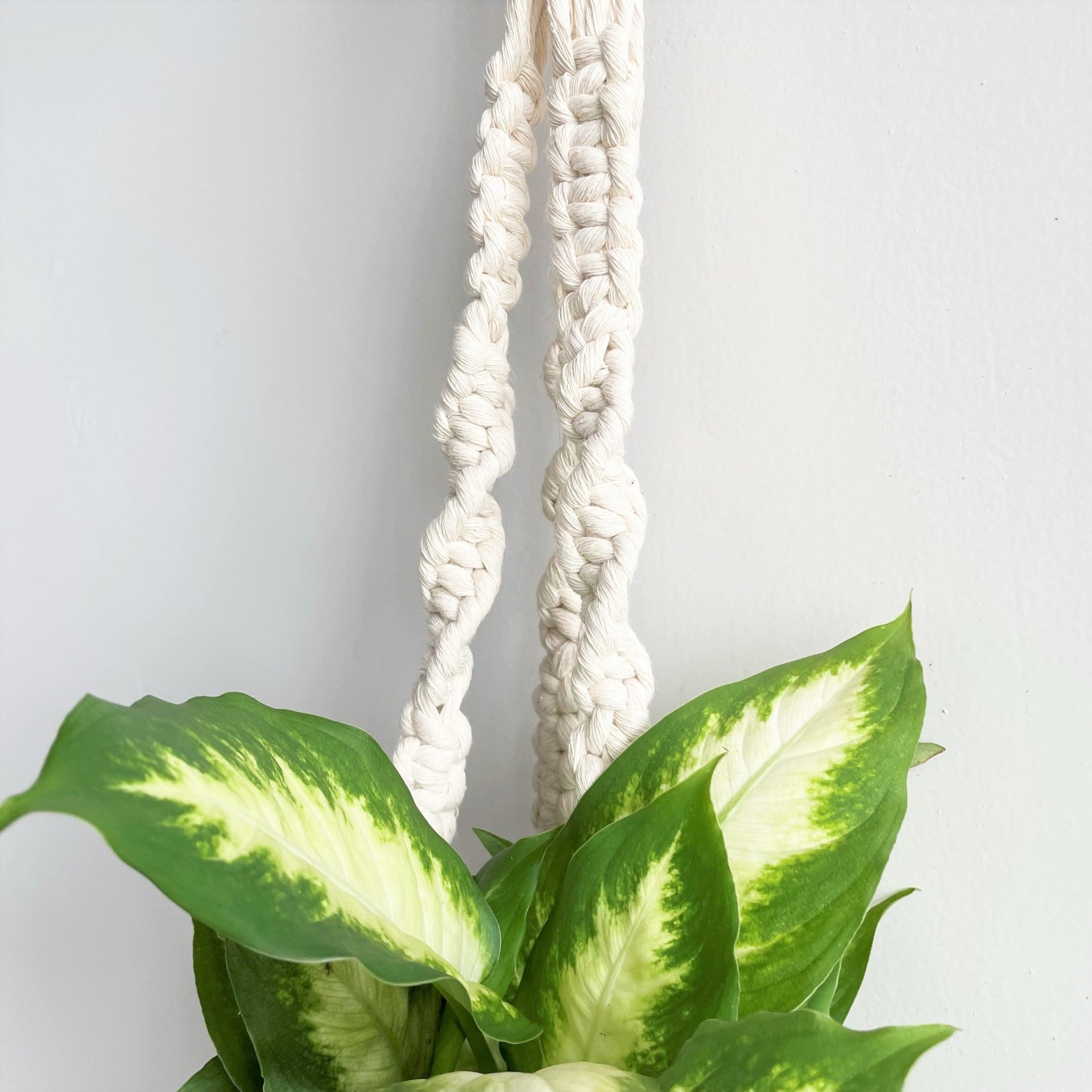 macrame plant hanger short White Classic Twist Short Tail Macramé Plant Hanger