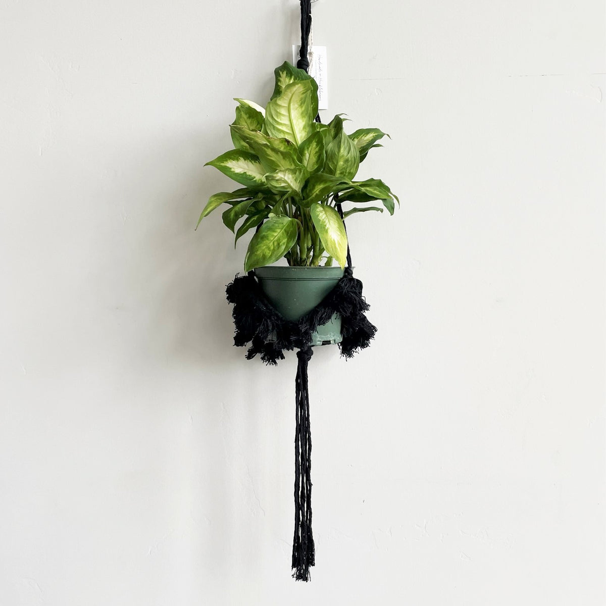 black plant hanger Black Macramé Plant Hanger with Tufting