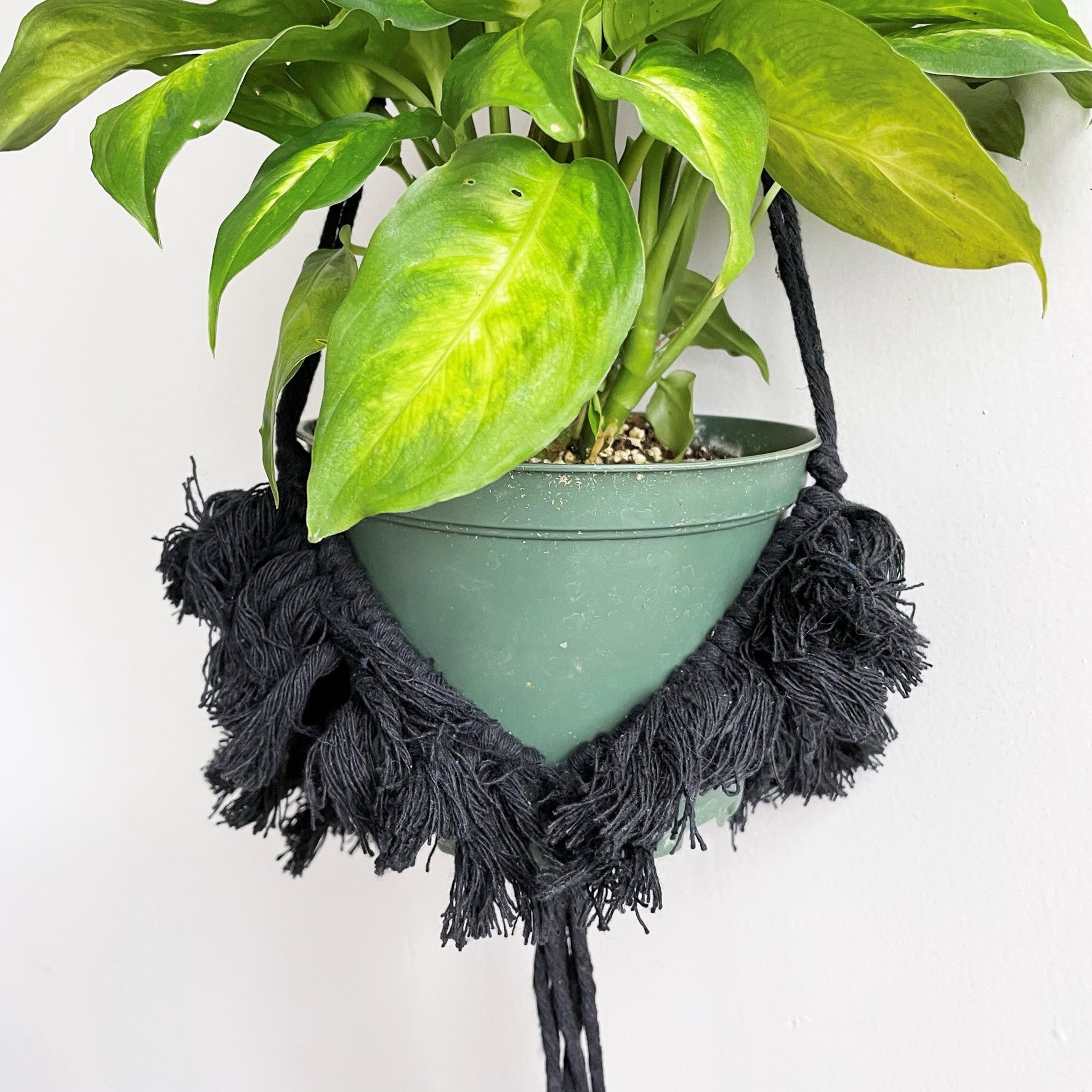 black macrame hanging planter Black Macramé Plant Hanger with Tufting