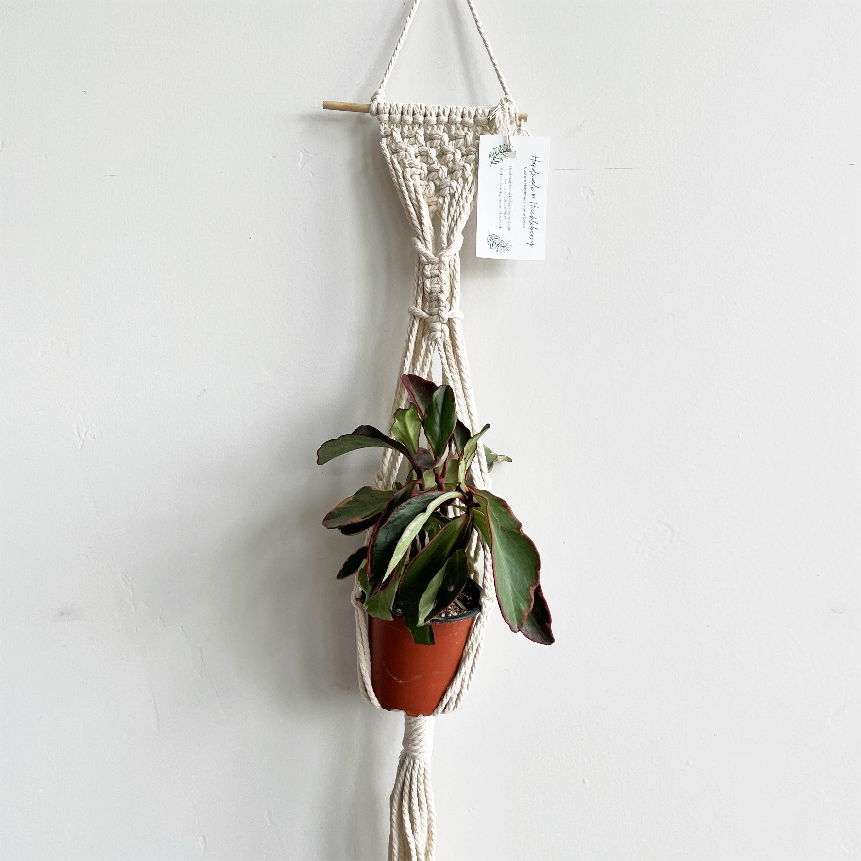 top of macrame plant hanger White Small Dowel Scrunch Top Macramé Plant Hanger