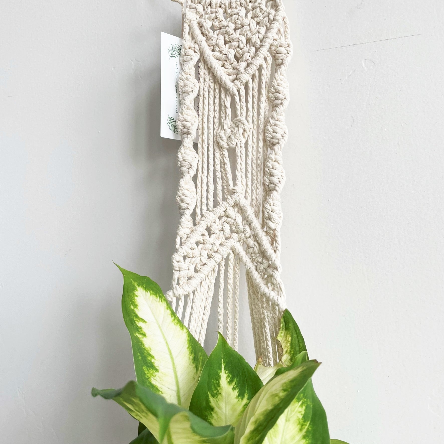 white geometric hanging planter White Geometric Pattern Macramé Plant Hanger with Gold Ring