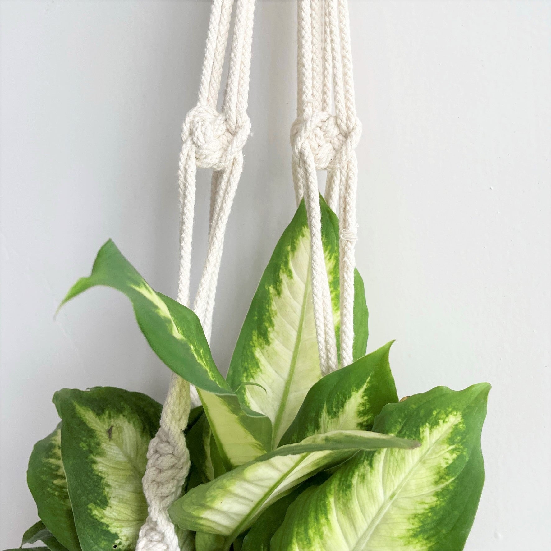 knot plant hanger White Twist-Knot-Twist Macramé Plant Hanger