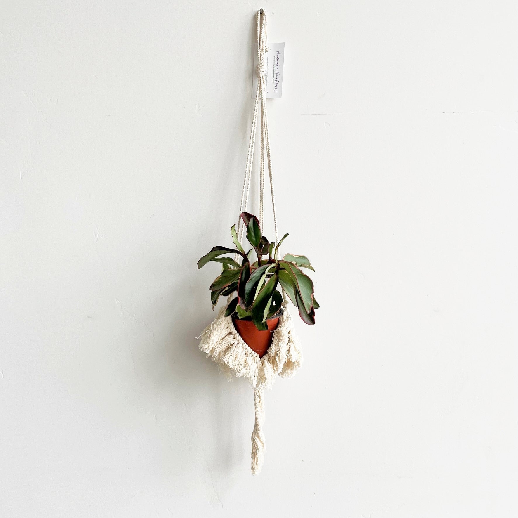 White Macramé Plant Hanger with Tufting