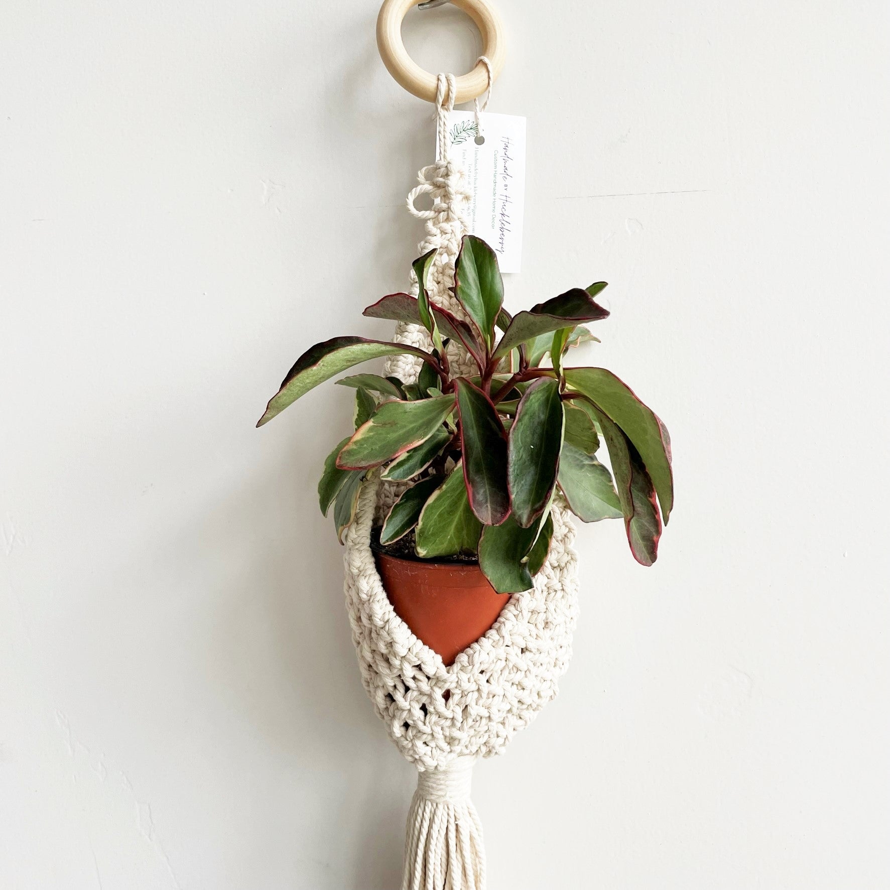 White Single Pocket Macramé Plant Hanger