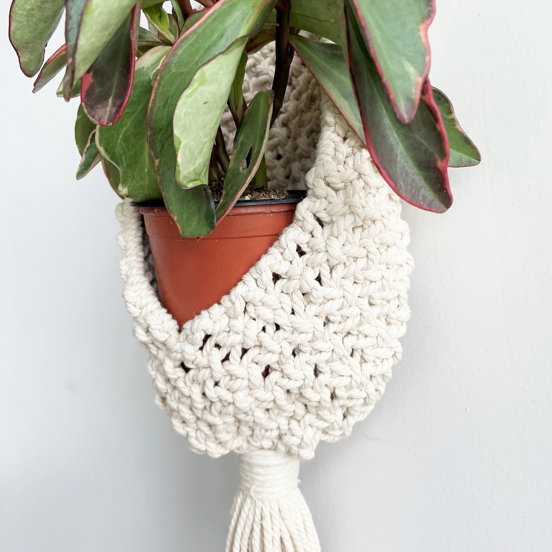 macrame pocket plant hanger White Single Pocket Macramé Plant Hanger