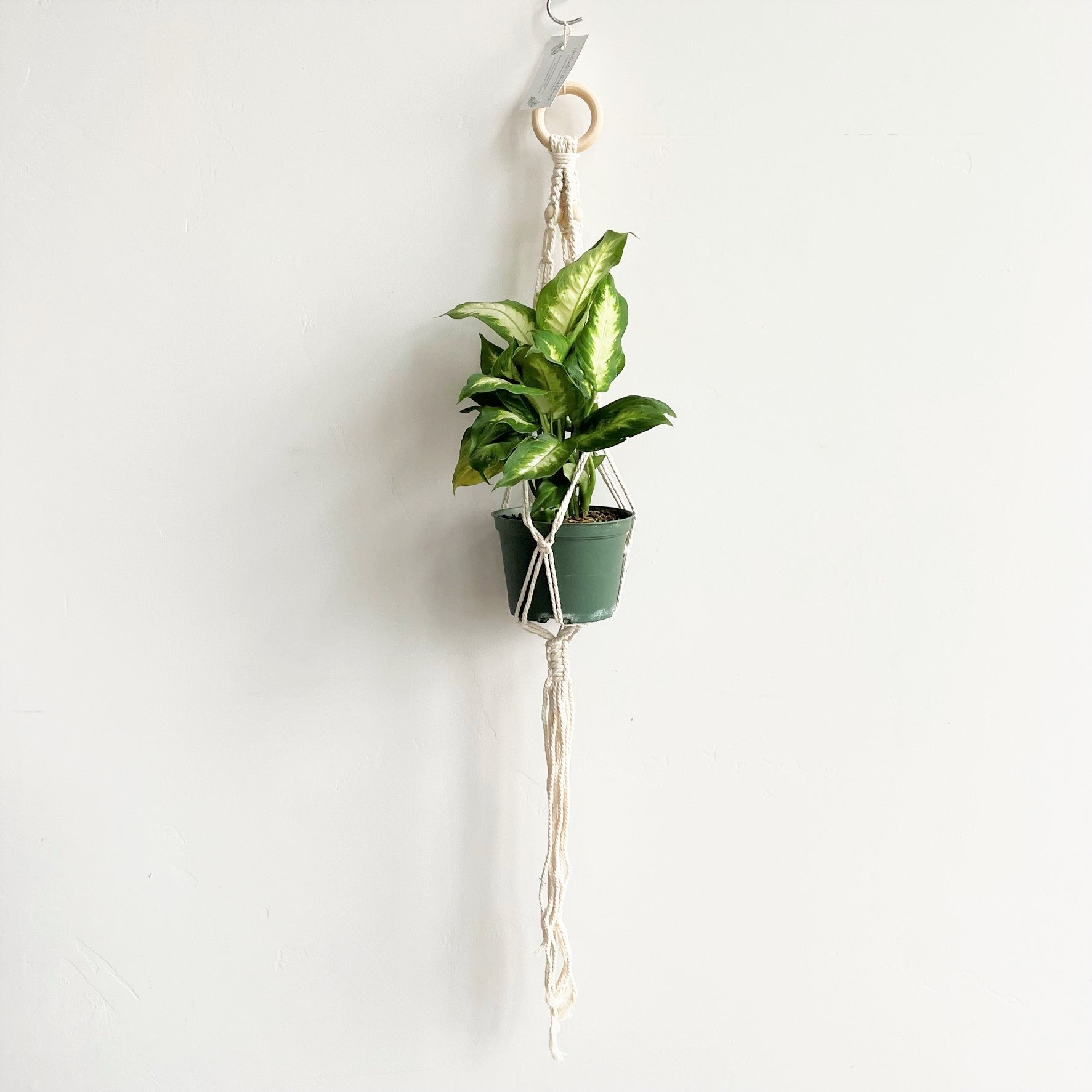 White Macramé Plant Hanger with Natural Wood Beads