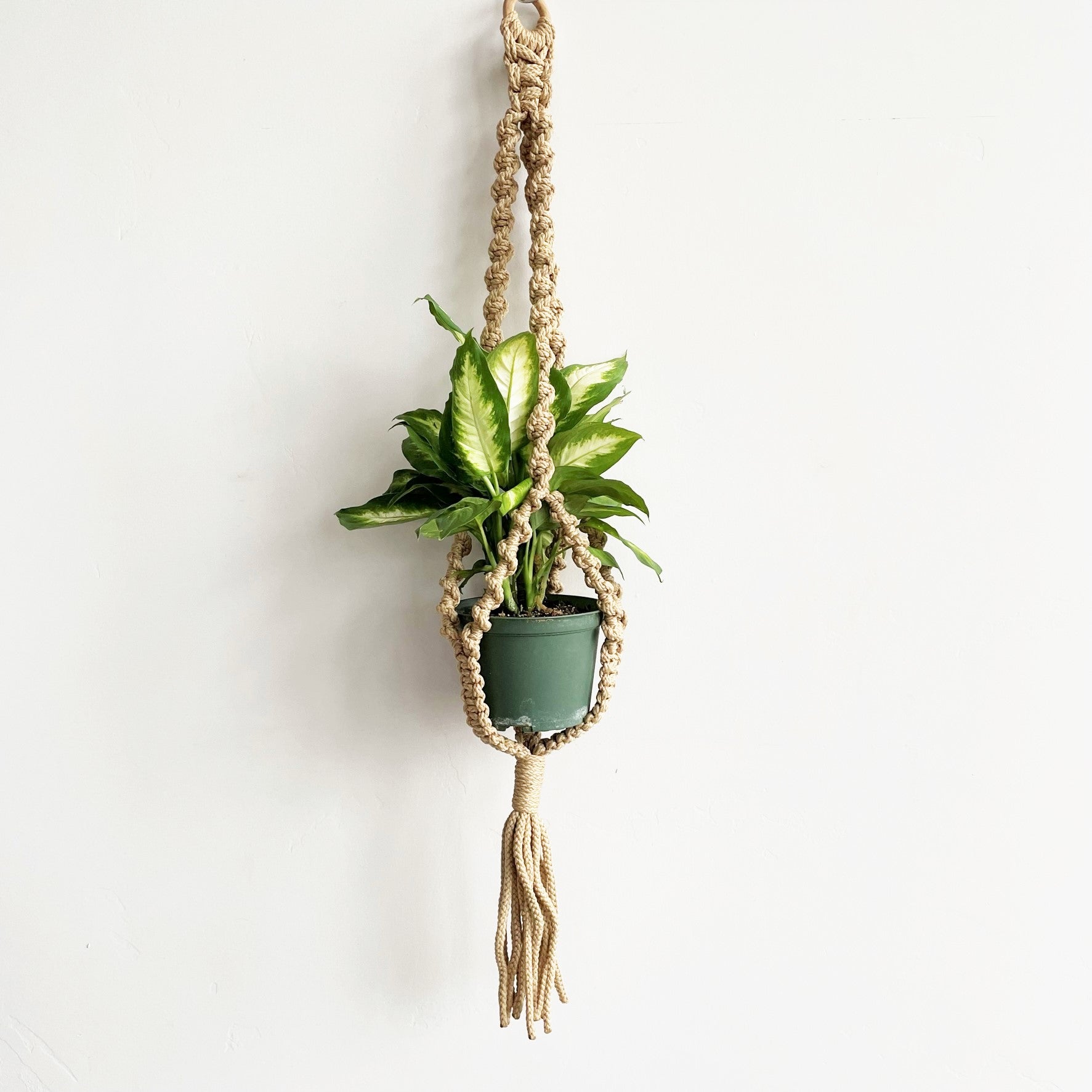 macrame spiral plant hanger Twisted Sisters Spiral Macramé Plant Hanger
