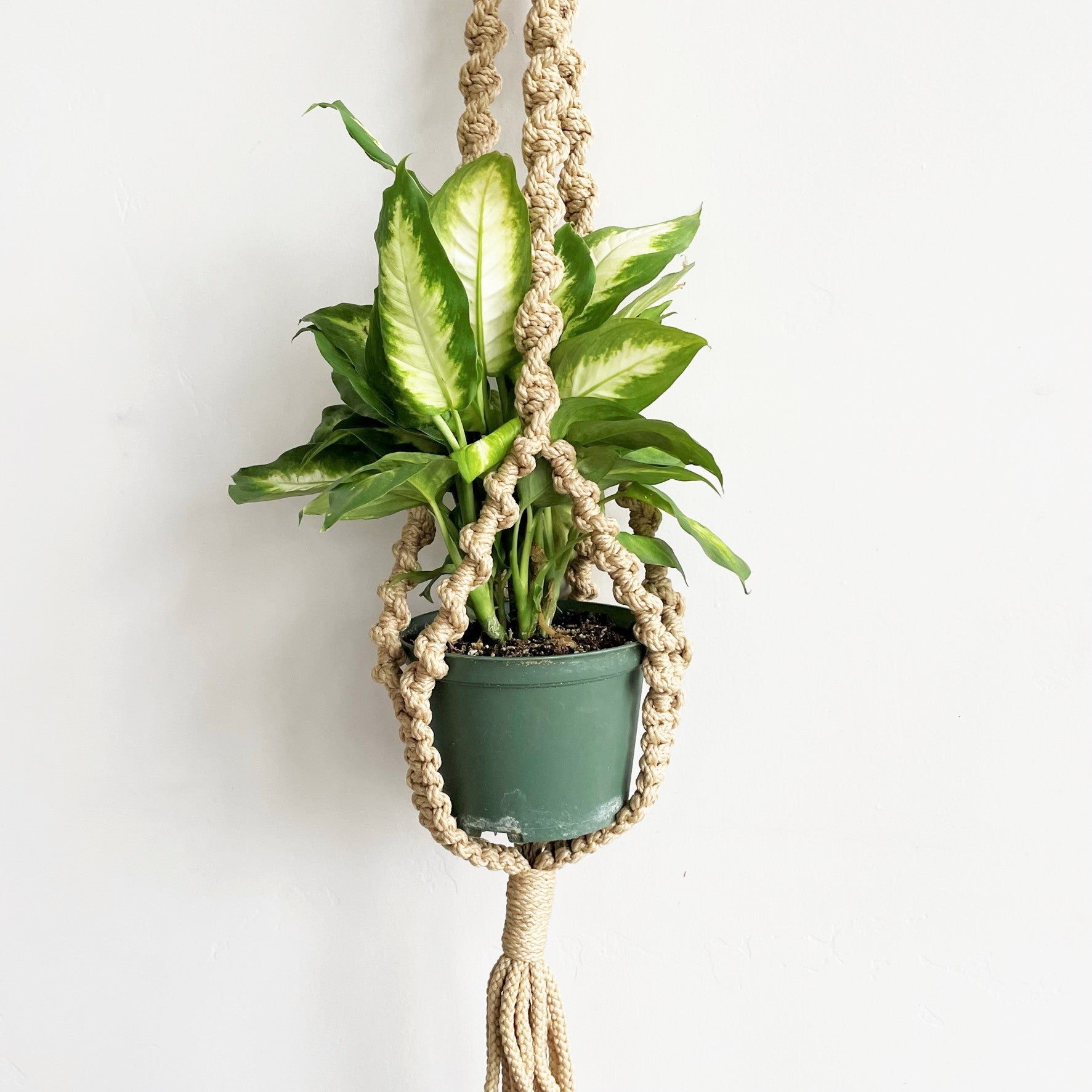spiral knot macrame plant hanger Twisted Sisters Spiral Macramé Plant Hanger