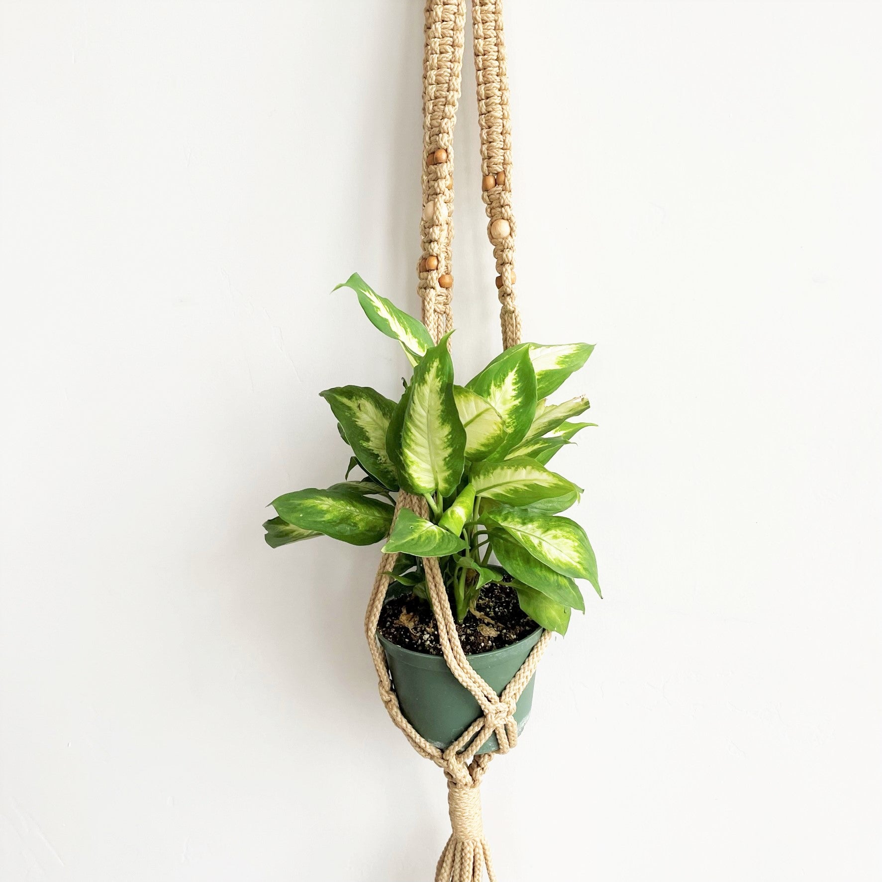 beaded macrame plant hanger Twisted Sisters Beaded Macramé Plant Hanger