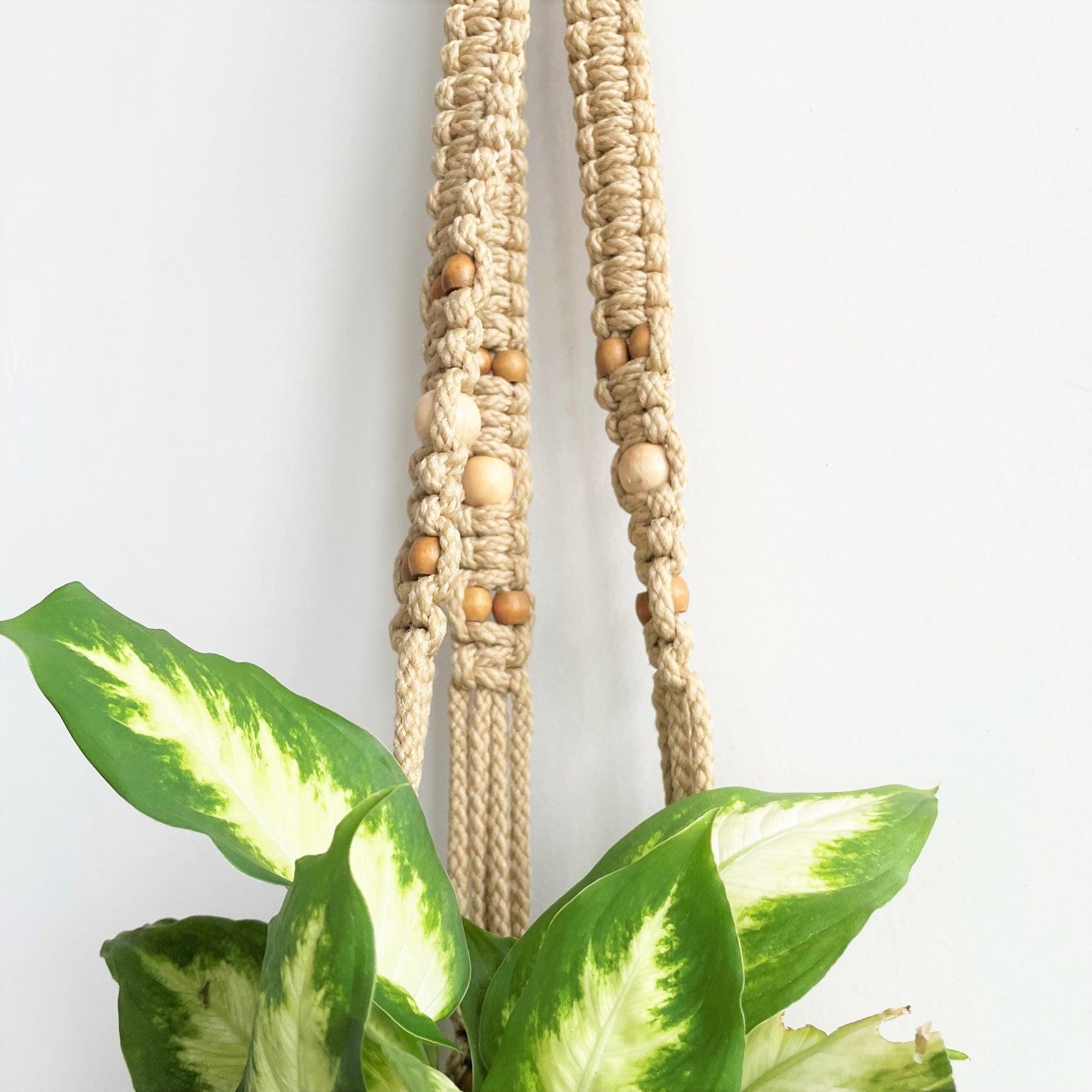 Twisted Sisters Beaded Macramé Plant Hanger