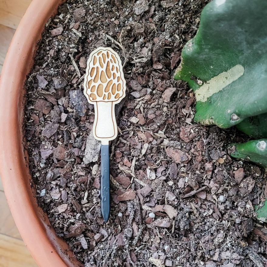 Morel Mushroom Plant Stake