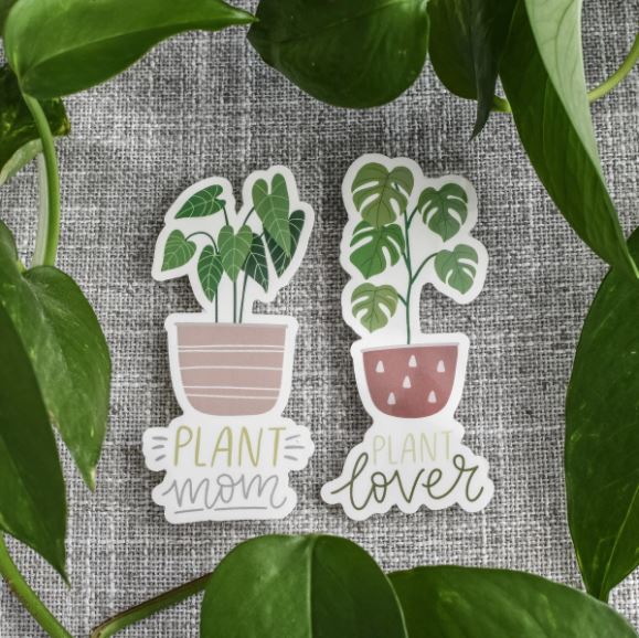 succulent plant stickers Plant Sticker Pack