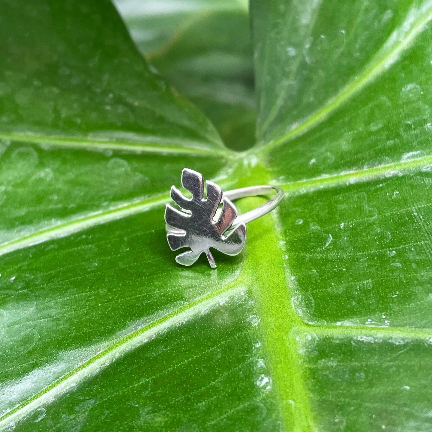 Sterling Silver Monstera Leaf Ring