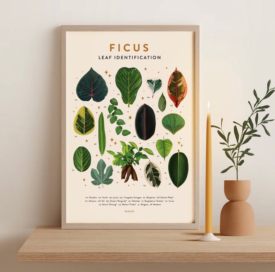 Plant Family Poster